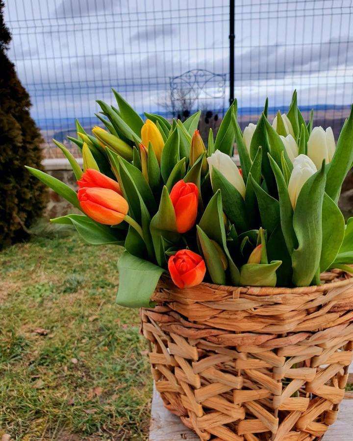 Hotel Cabana Dintre VII Apoldu de Sus Zewnętrze zdjęcie